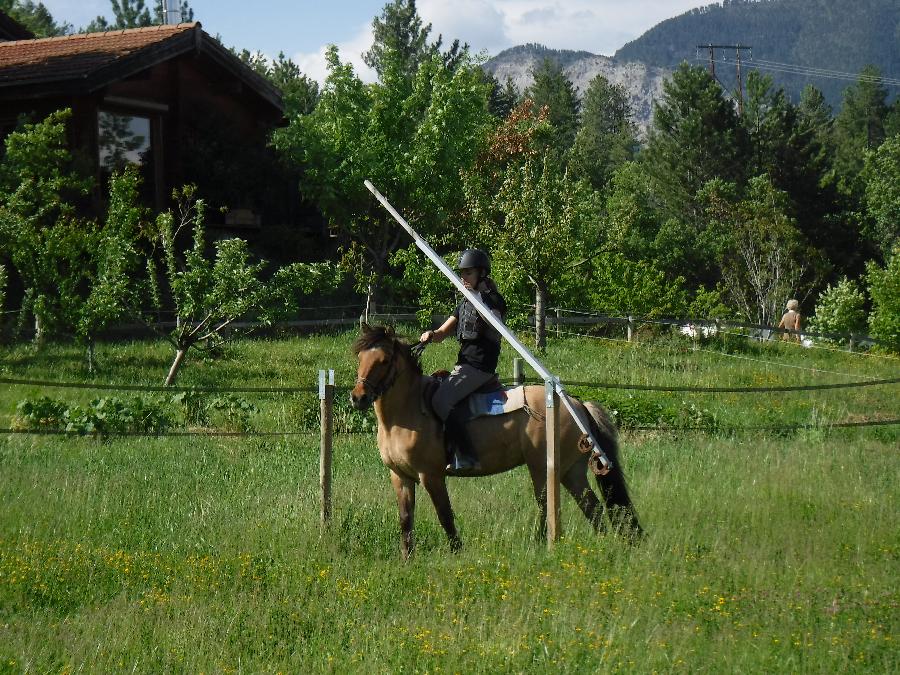 Sjour questre Hautes-Alpes Pays du Buch photo 5