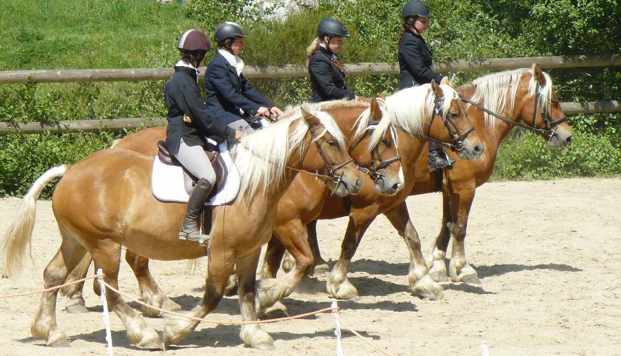 Stage quitation   photo 3