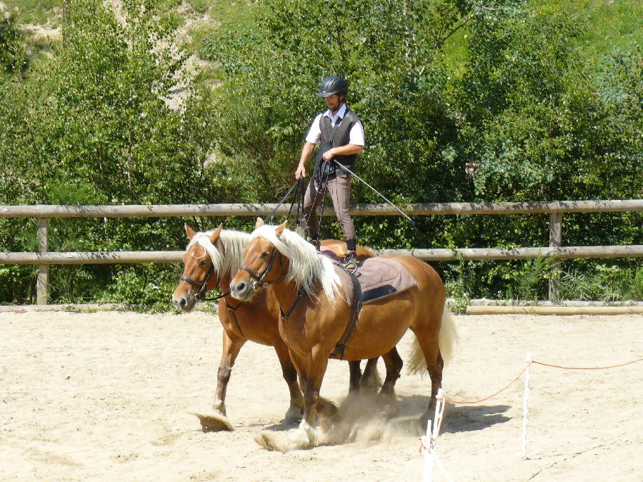Stage quitation   photo 4