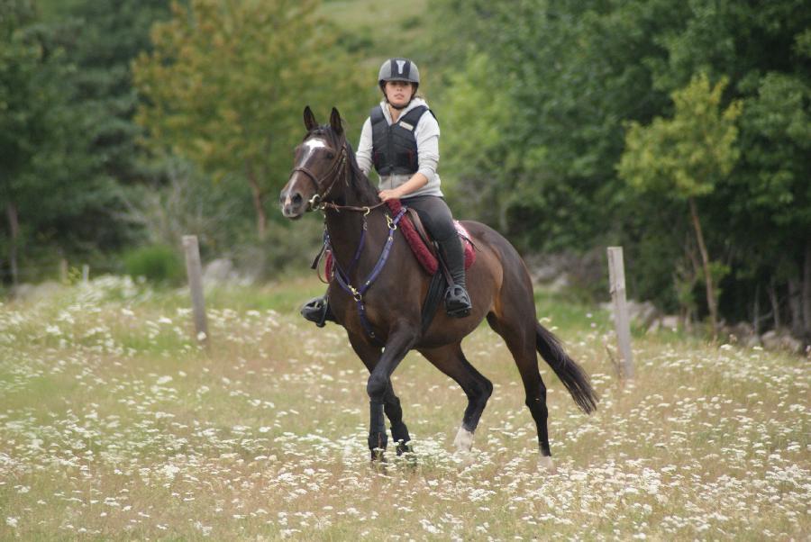 Stage quitation Lozre PNR de l'Aubrac