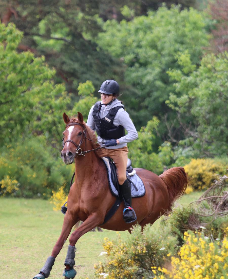 Stage quitation Lozre PNR de l'Aubrac photo 2