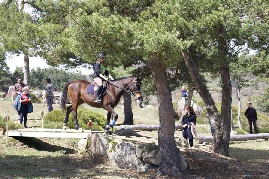 sejour Lozre PNR de l'Aubrac photo 6