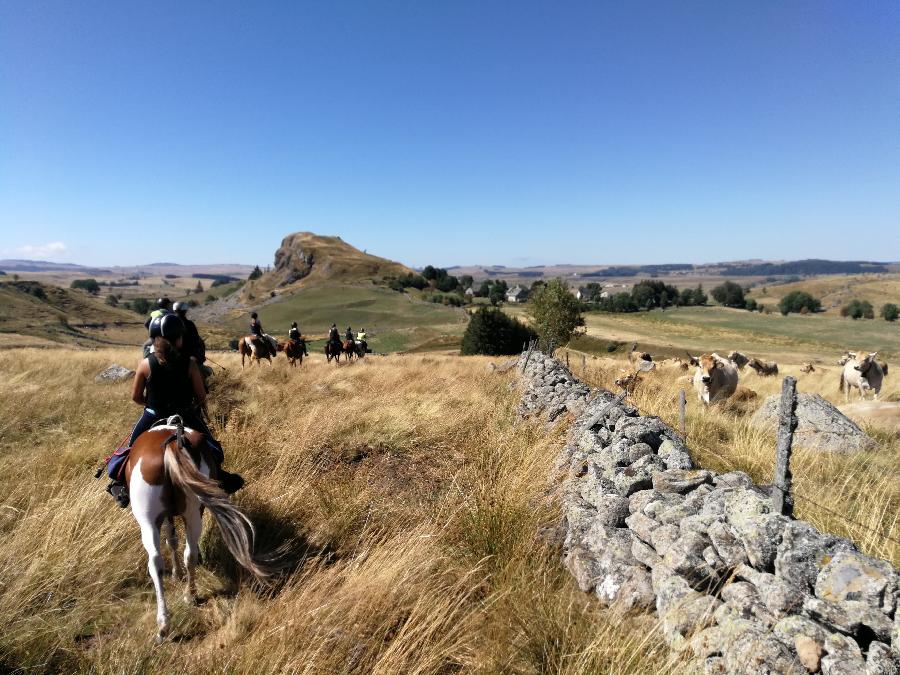 Stage quitation Lozre PNR de l'Aubrac photo 5