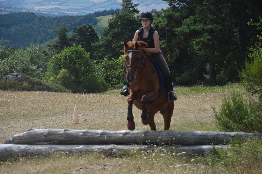 Stage quitation   photo 3