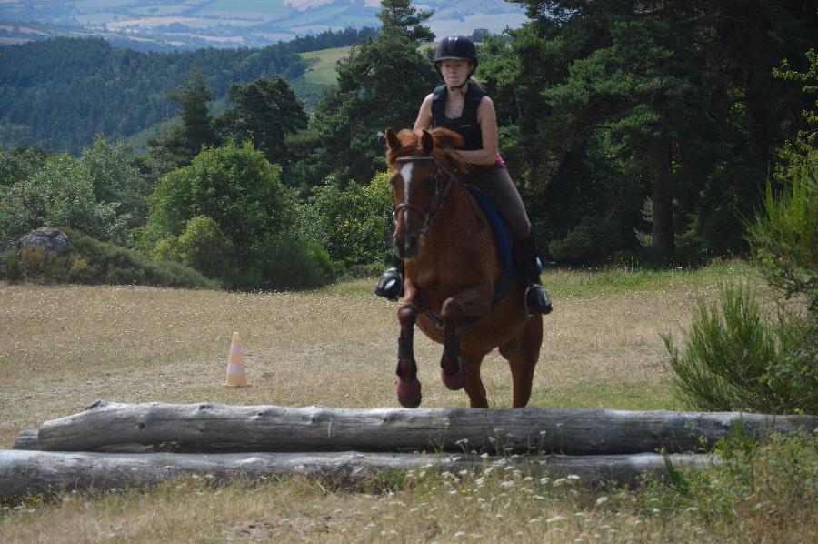 Stage quitation Lozre PNR de l'Aubrac photo 3