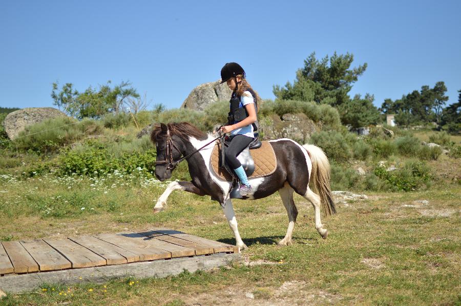 Stage quitation Lozre PNR de l'Aubrac