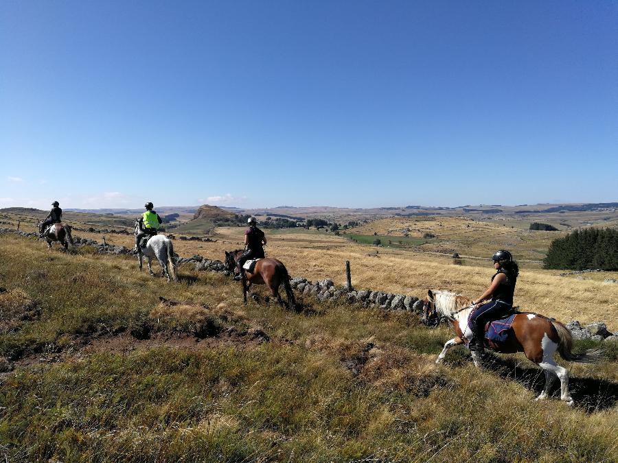 sejour Lozre PNR de l'Aubrac photo 3