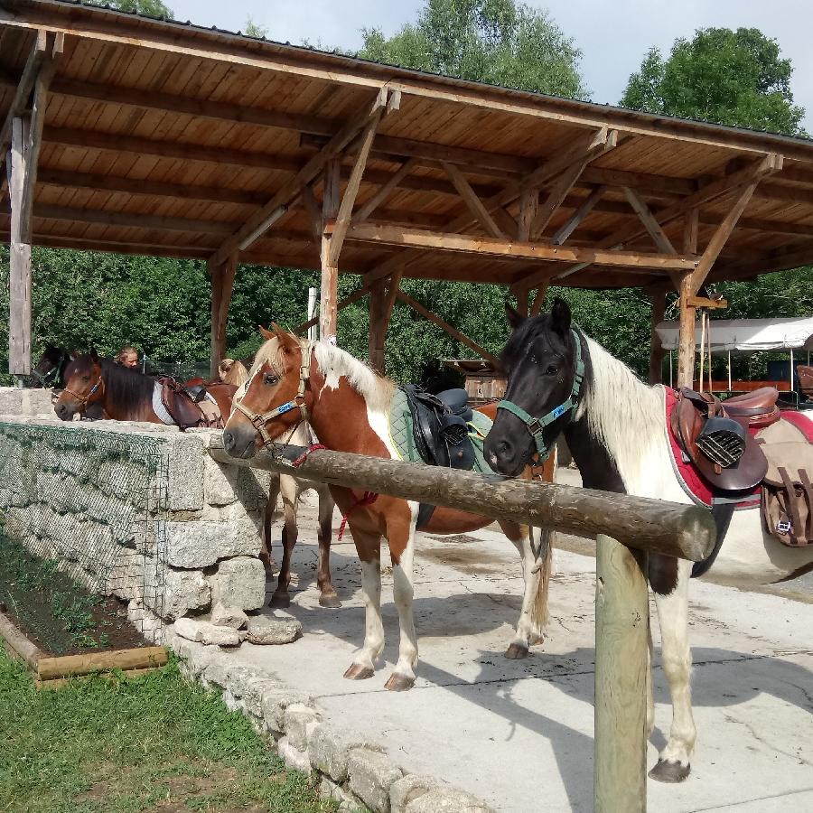 sejour Lozre PNR de l'Aubrac photo 2