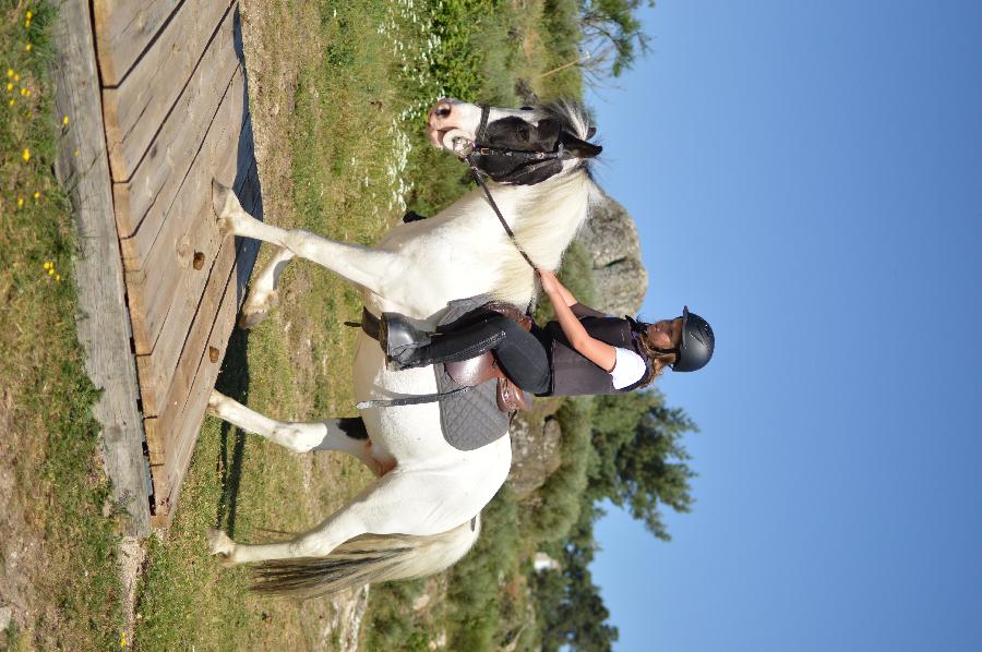 Stage quitation Lozre PNR de l'Aubrac photo 3