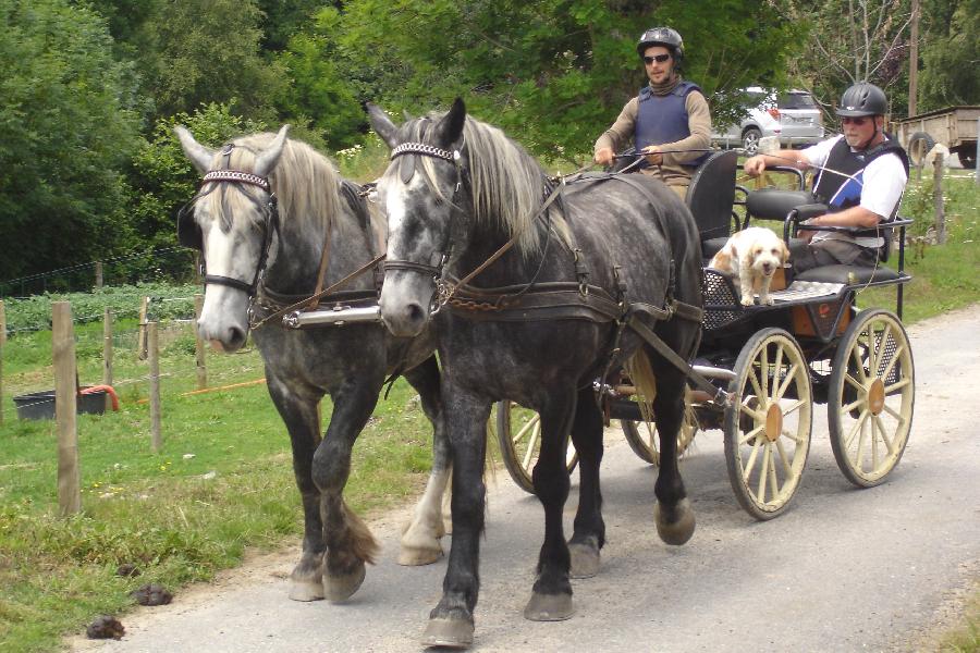 sejour Lozre PNR de l'Aubrac