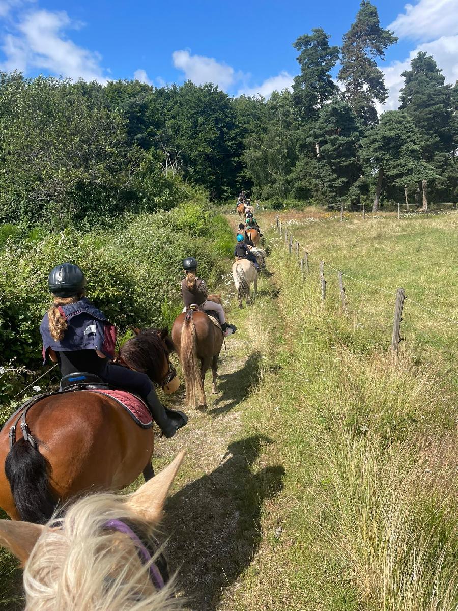 Stage �quitation   photo 2