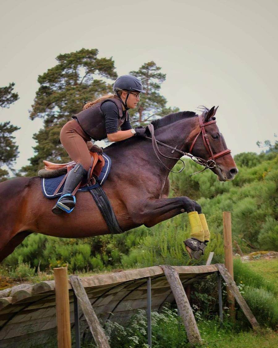 Stage �quitation   photo 2