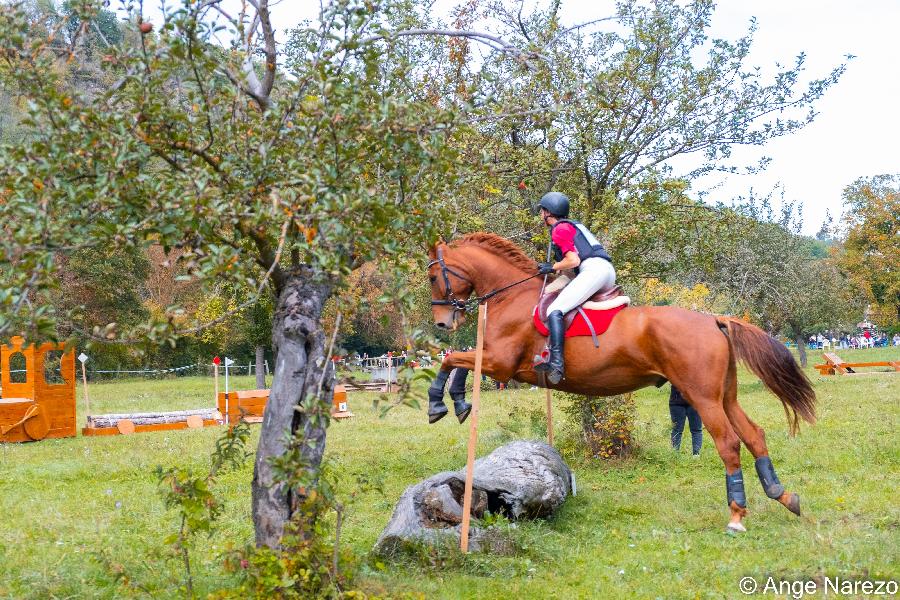 Stage �quitation   photo 3