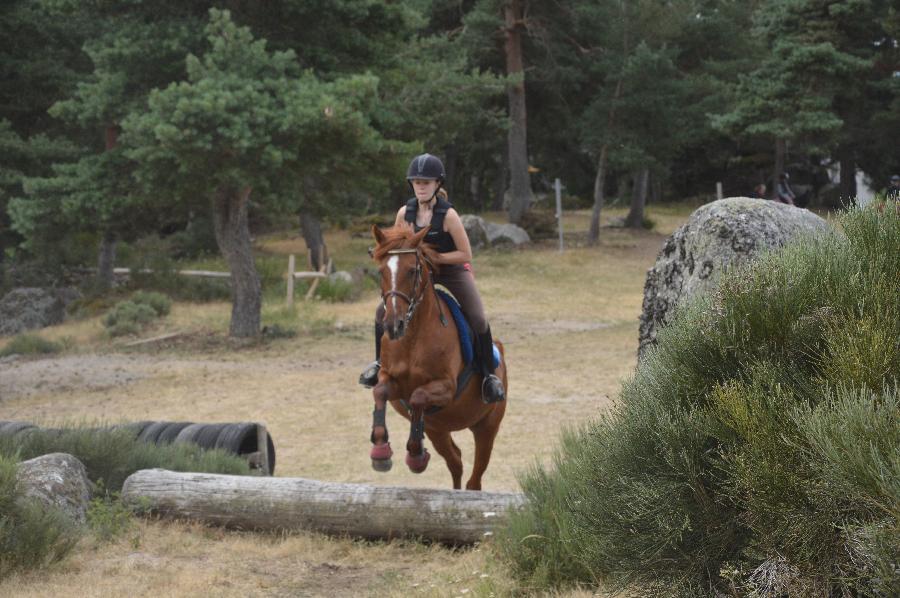 Stage �quitation   photo 2