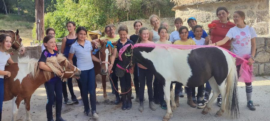 Stage �quitation   photo 2