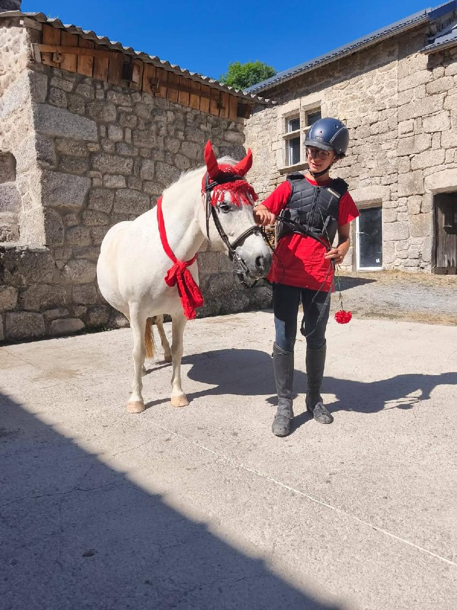 Stage �quitation   photo 3