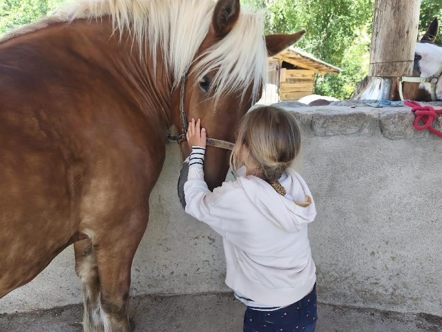 Stage �quitation   photo 4