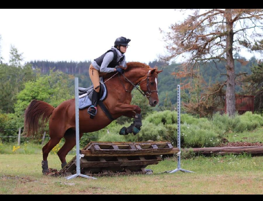 Stage �quitation   photo 2