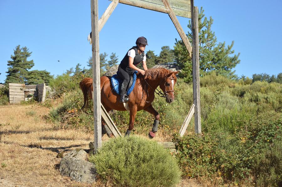 Stage �quitation   photo 3