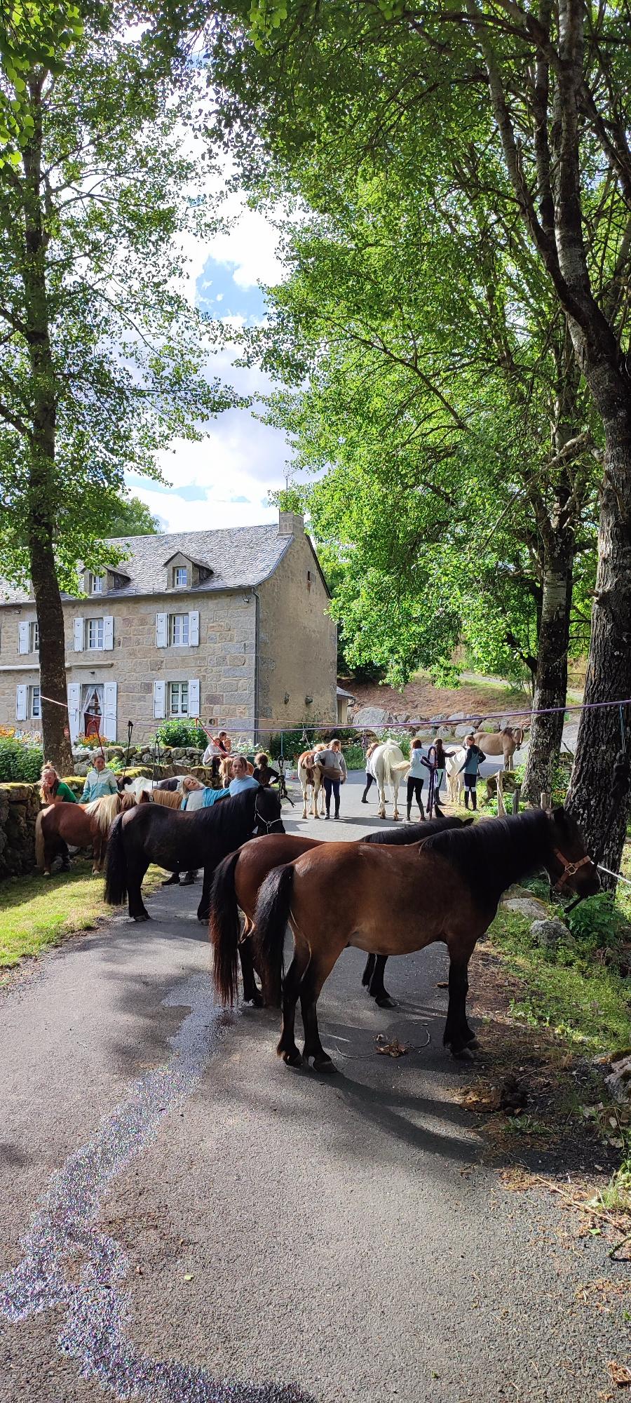 Stage �quitation   photo 4