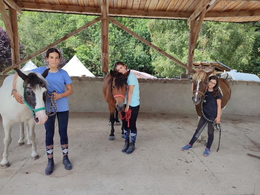 Stage �quitation   photo 4