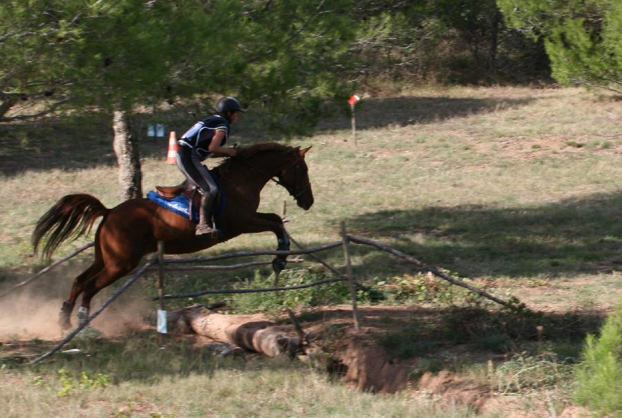 Stage quitation Lozre PNR de l'Aubrac