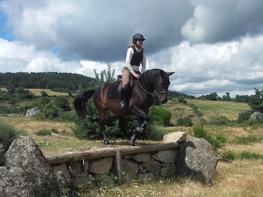 stage Equitation classique Lozre