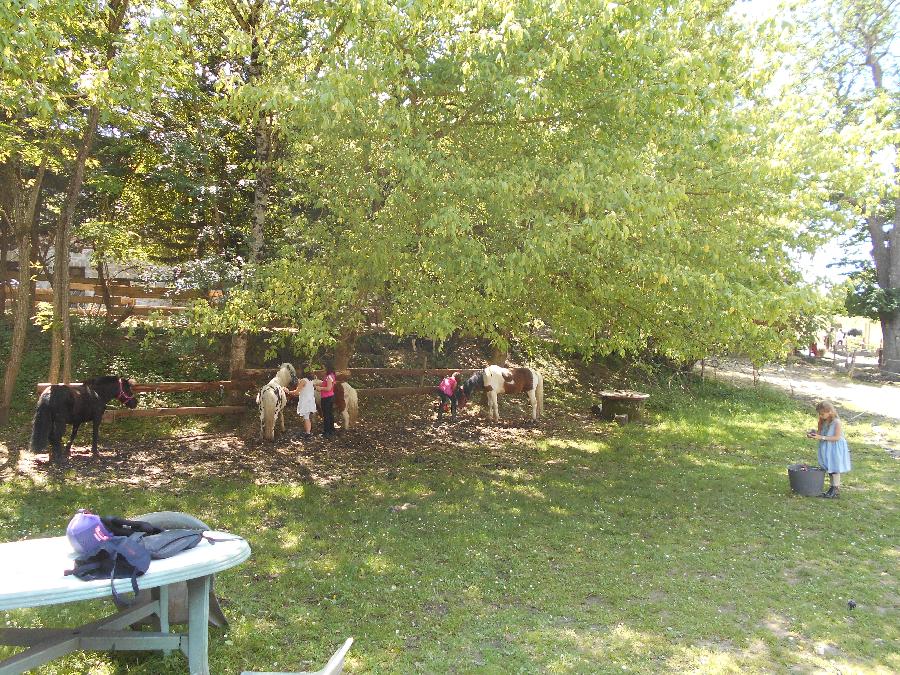 Stage quitation   photo 2