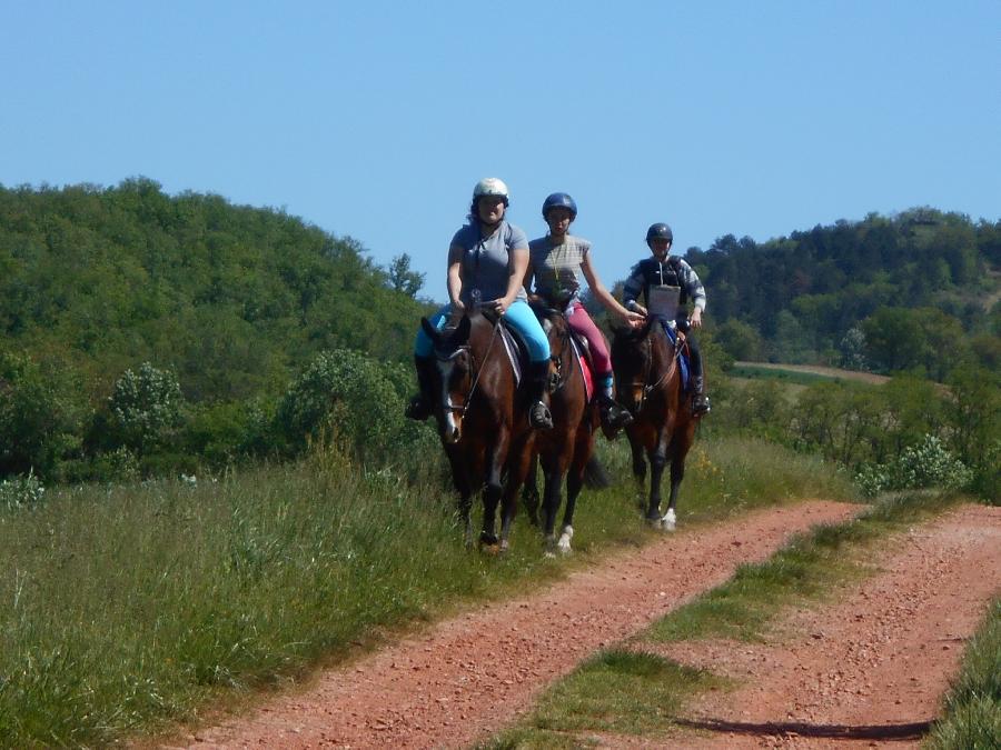 Stage équitation