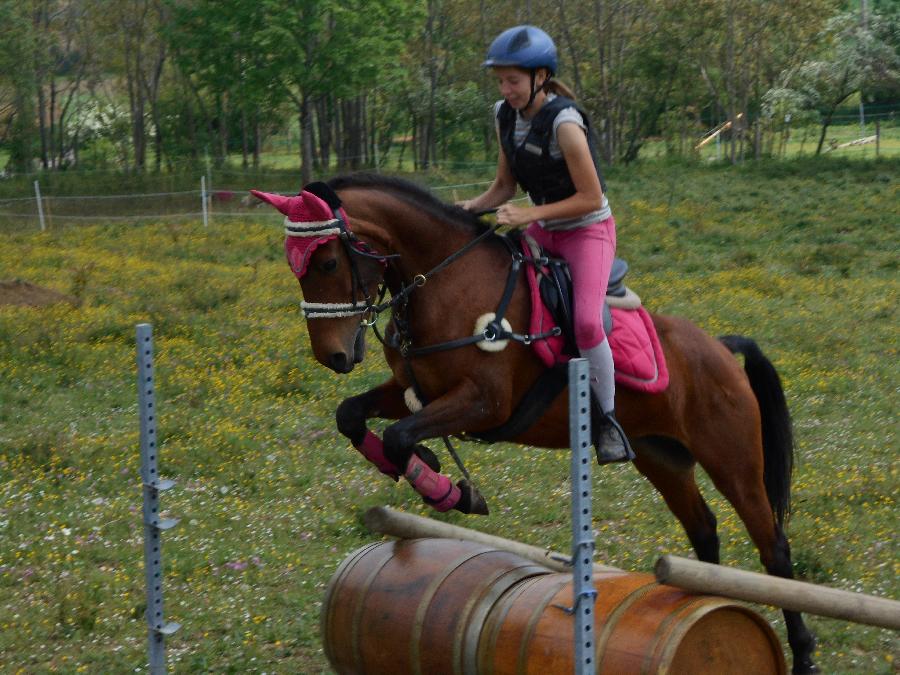 Stage quitation   photo 3
