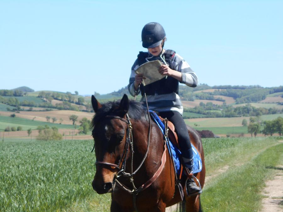 Stage quitation   photo 4