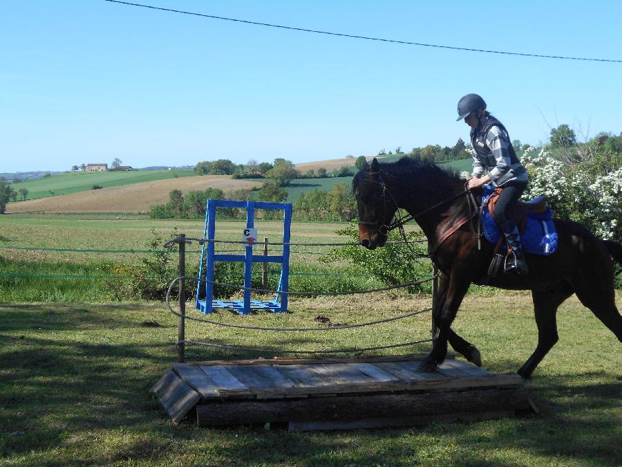Stage quitation   photo 5