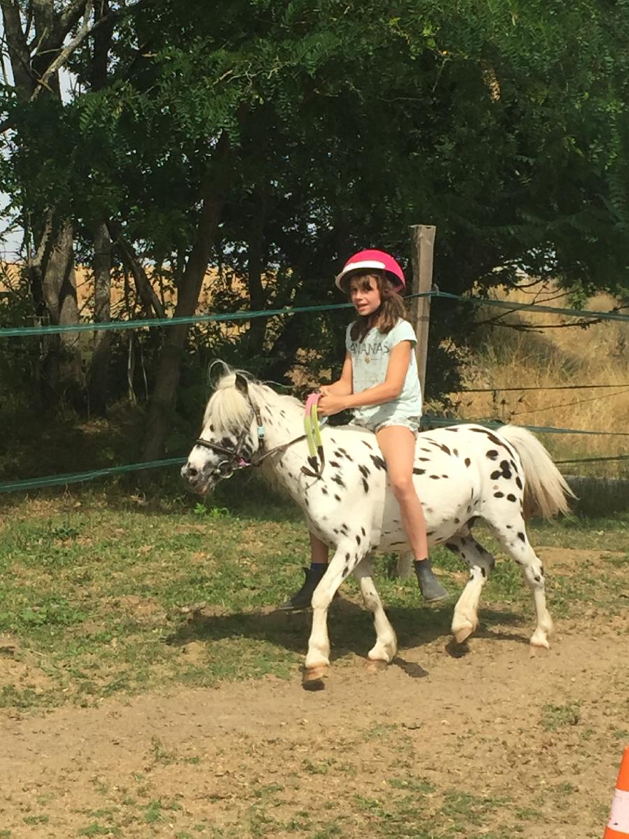 Stage �quitation   photo 2