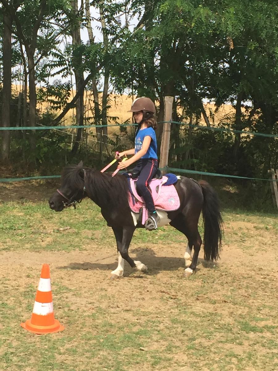 Stage �quitation   photo 3