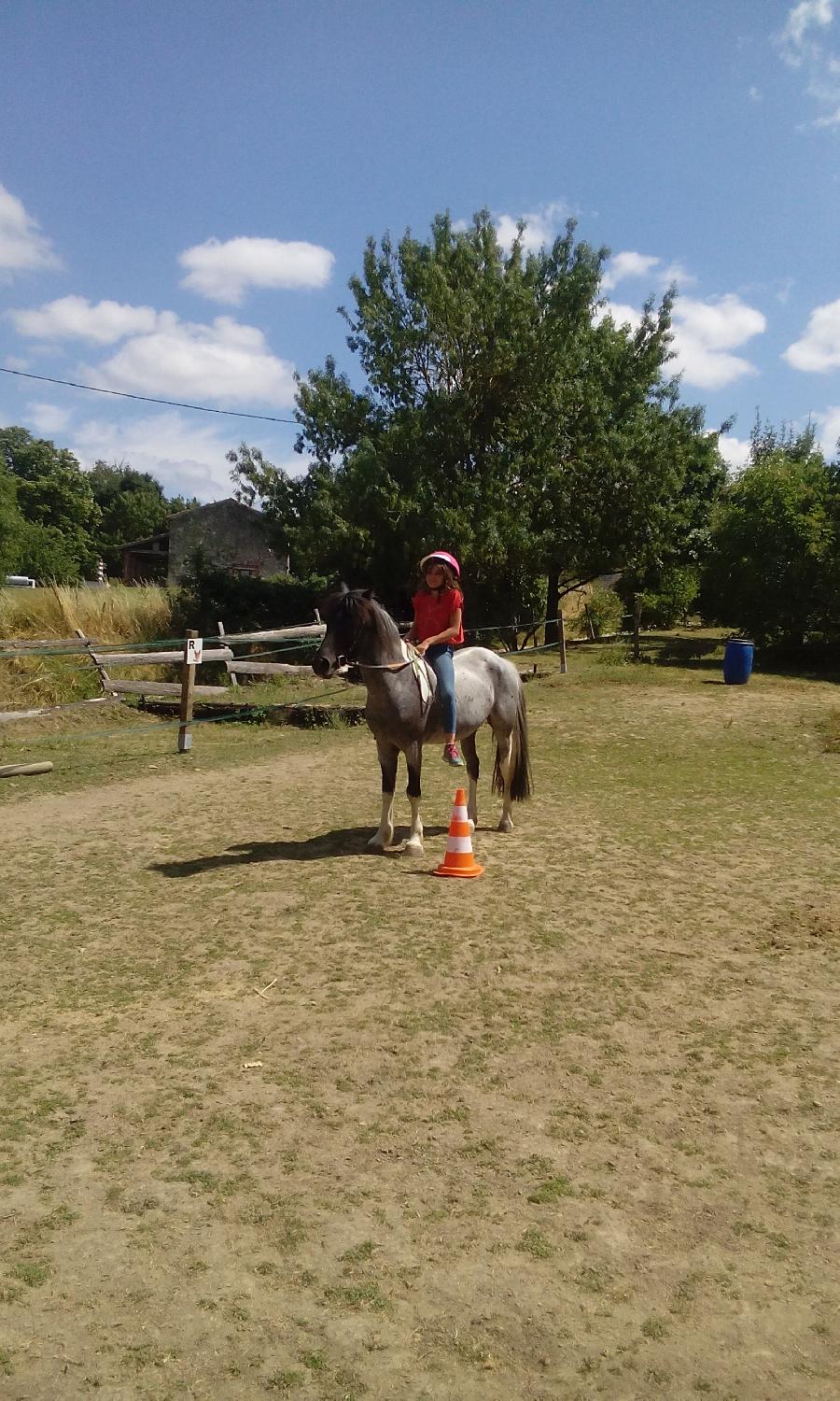 Stage �quitation   photo 5