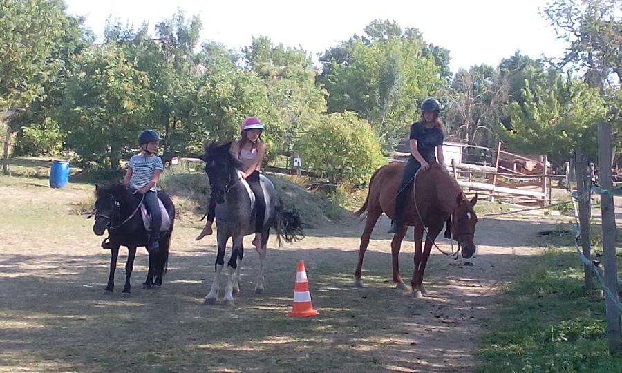 Stage �quitation   photo 6