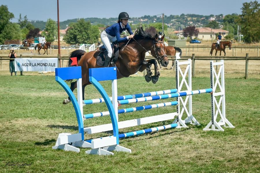 Stage �quitation   photo 2