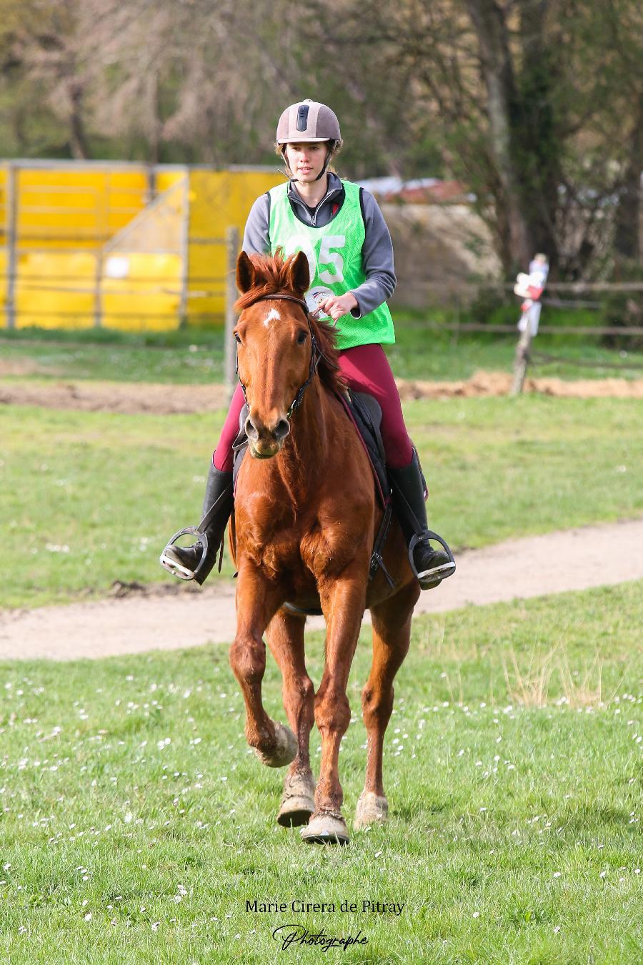 Stage �quitation  