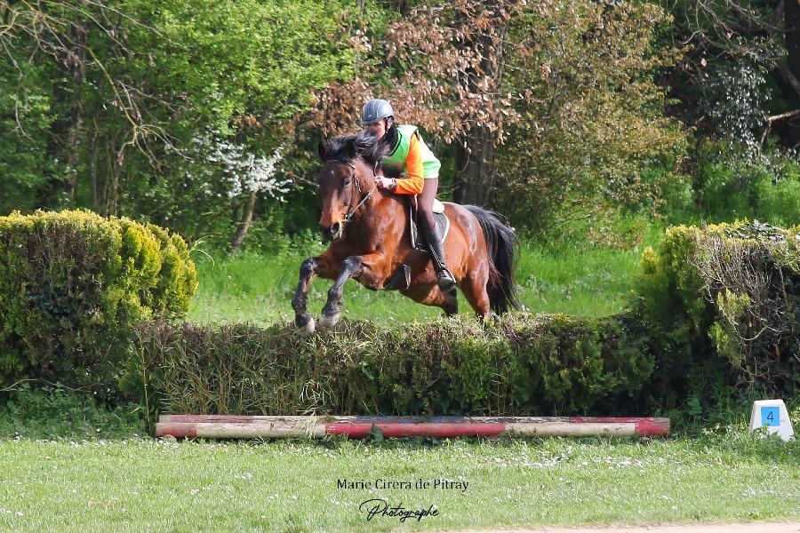 Stage �quitation   photo 2