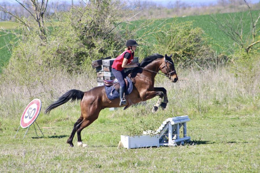 Stage �quitation   photo 4
