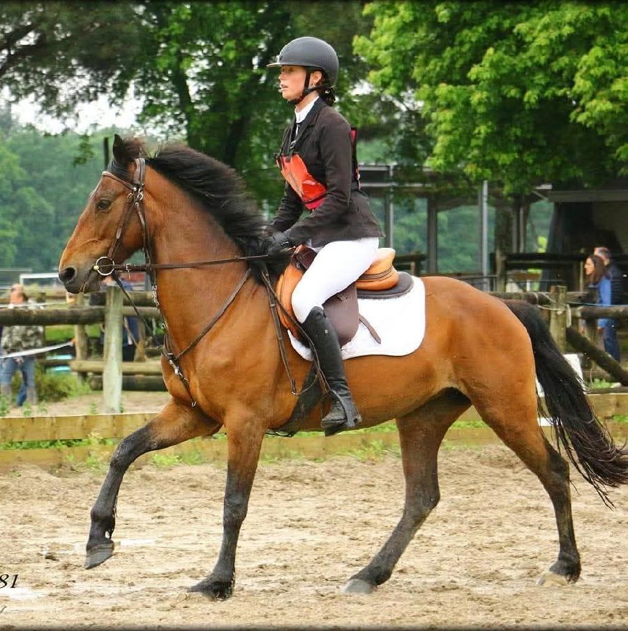 Stage �quitation   photo 4