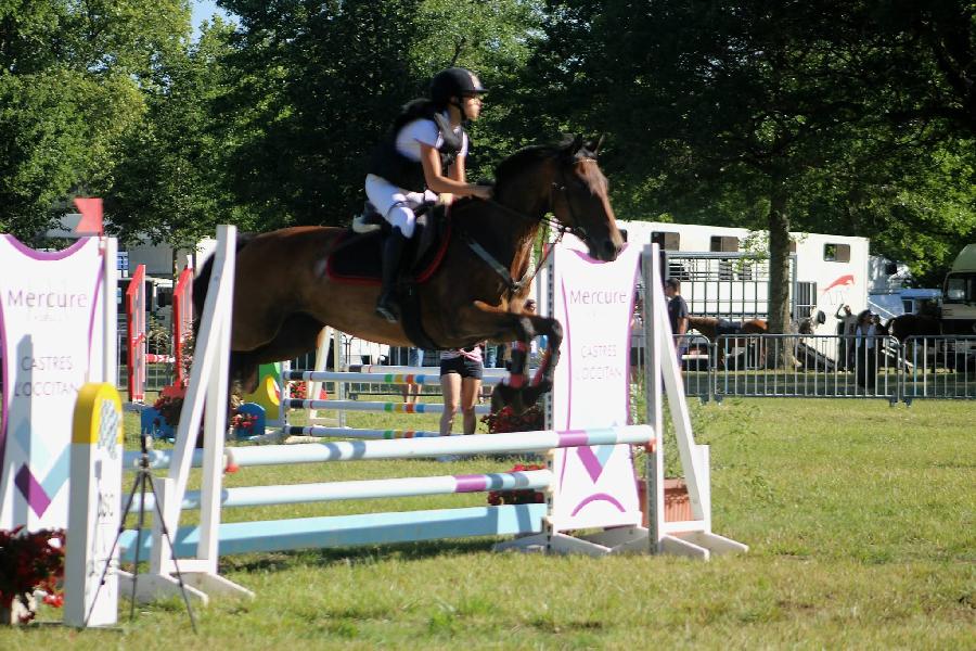 Stage �quitation   photo 6