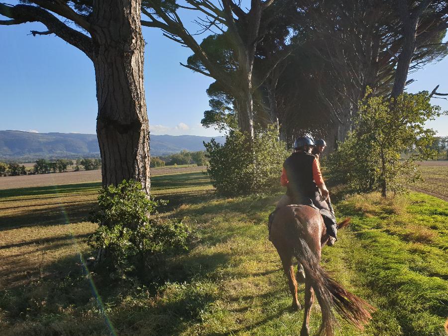 stage Equitation de pleine nature Tarn