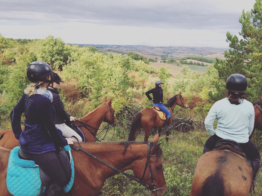 Stage quitation   photo 2