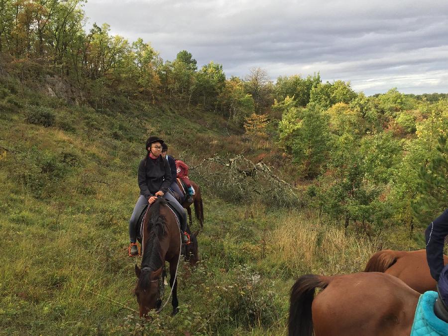 Stage quitation   photo 4