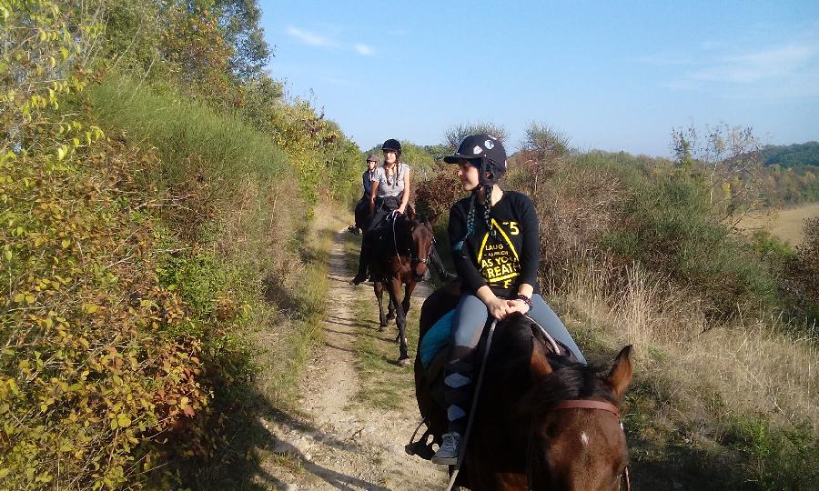 Stage quitation   photo 5