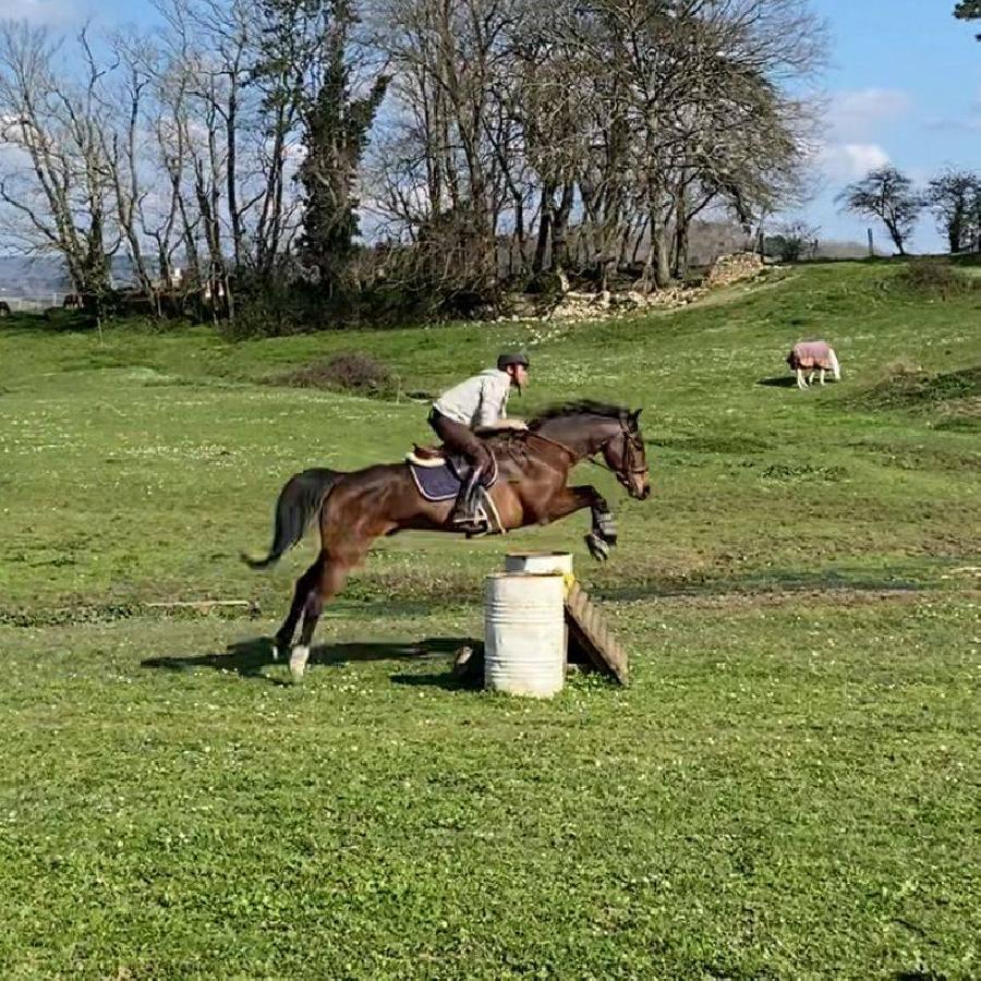 stage Equitation de pleine nature Tarn