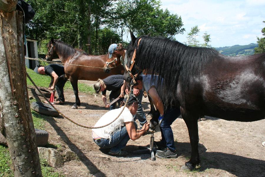 Stage quitation Allier Montagne Bourbonnaise