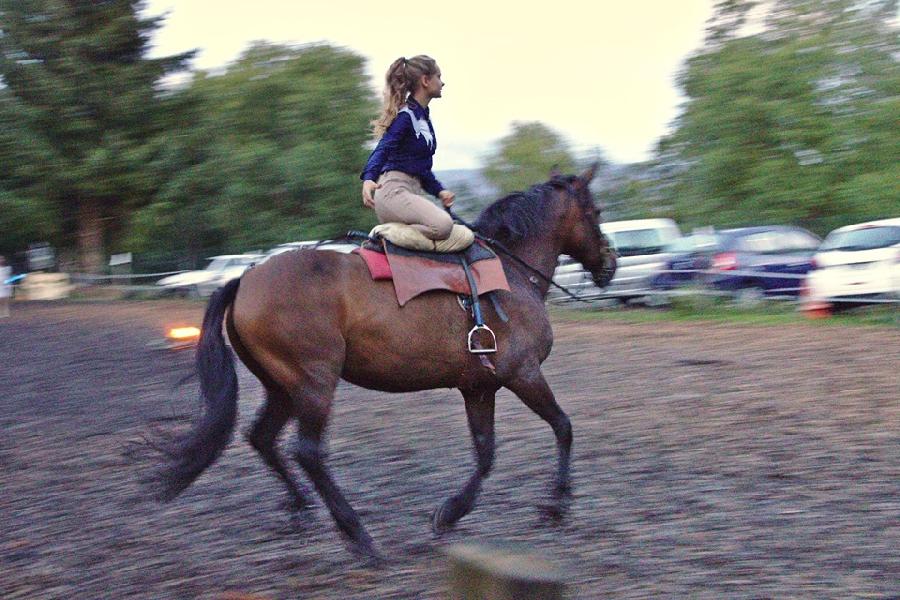 Stage quitation   photo 4