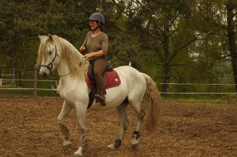 Balade  cheval Allier Montagne Bourbonnaise